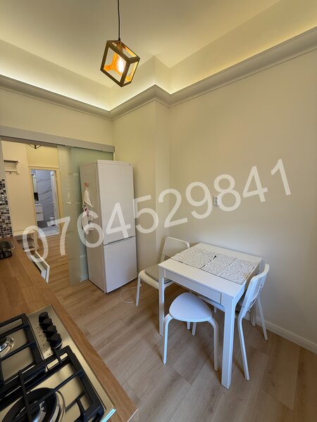 Ion Mihalache, Domenii, Str. Constantin Stere 29, la 6 min. metrou 1 Mai.